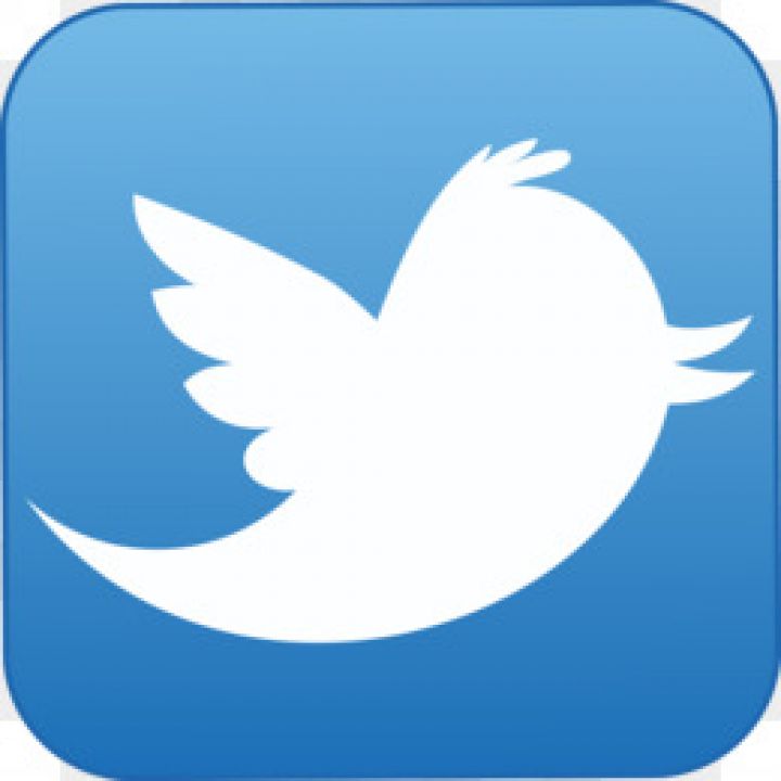 Twitter logo described as a blue circle with a twitty bird in the centre